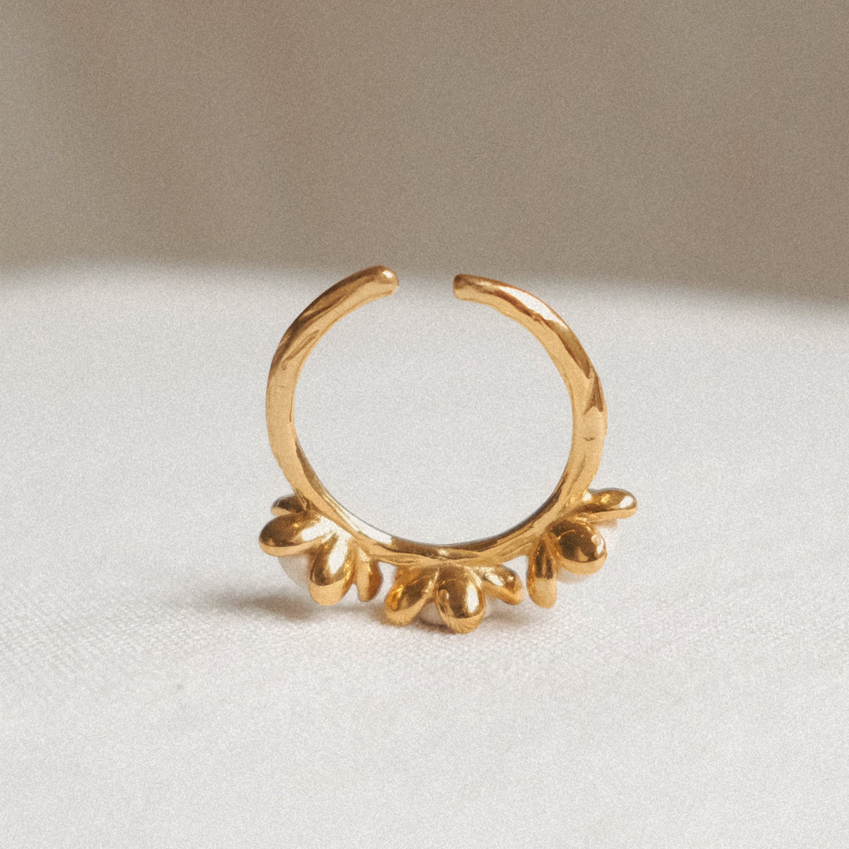 ANILLO IMA