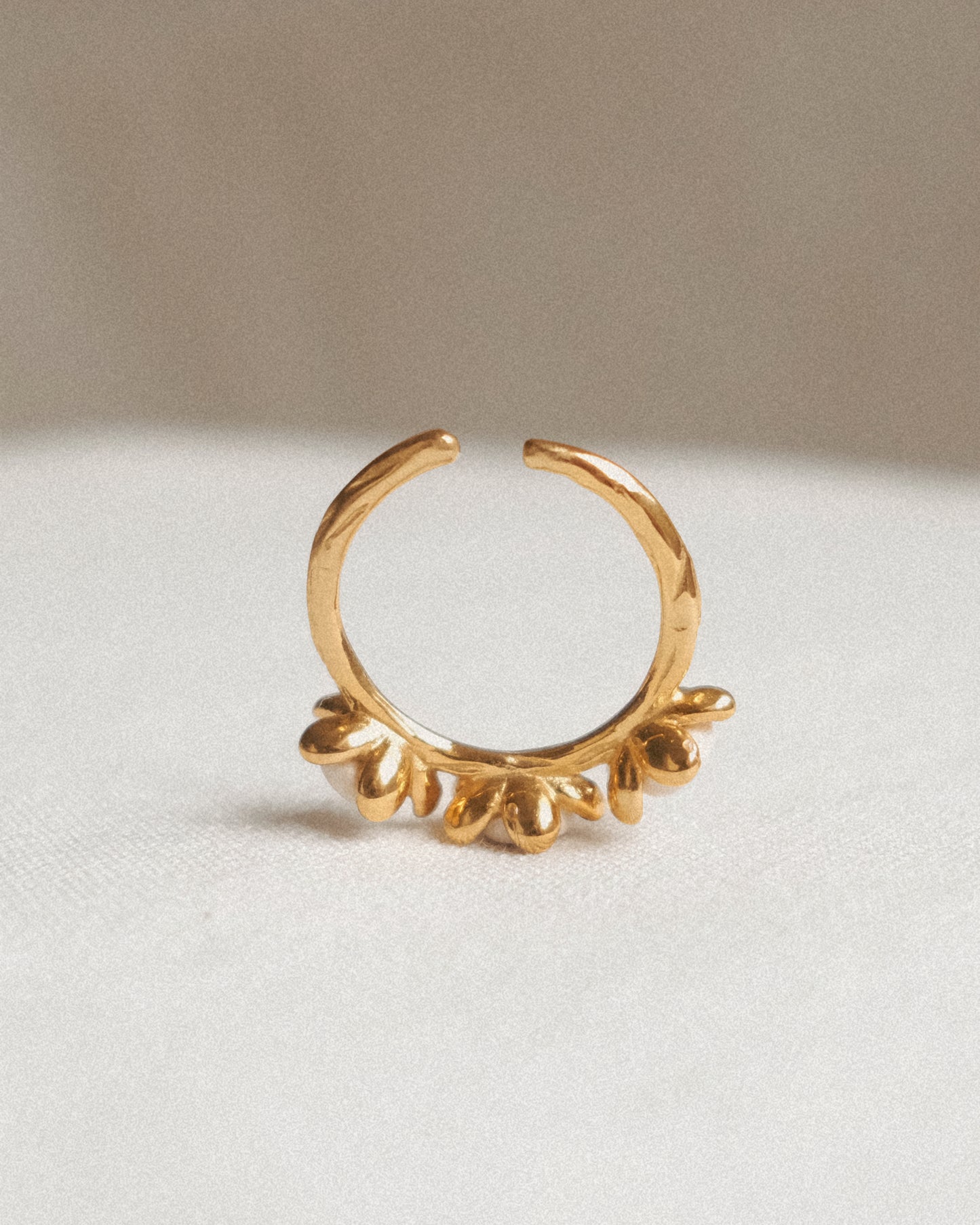 ANILLO IMA