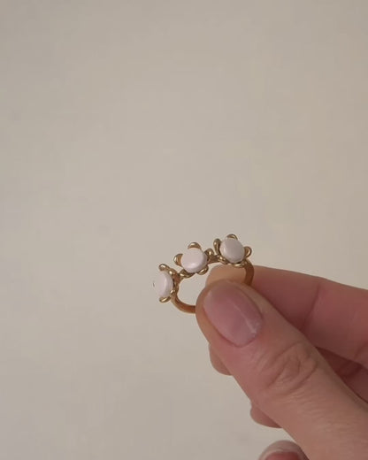 ANILLO IMA